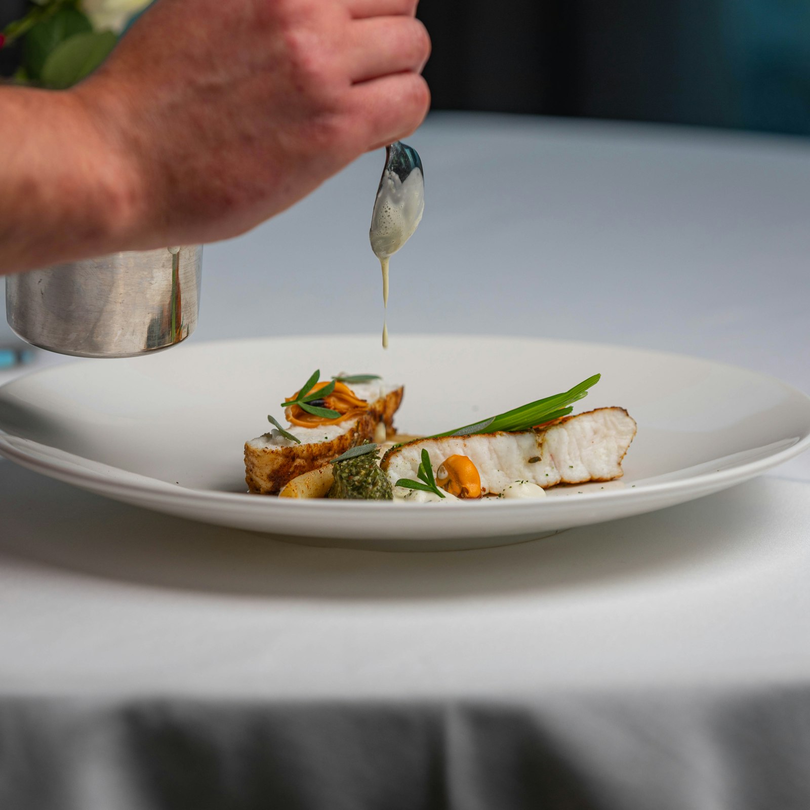 Seared sea bass course, plated