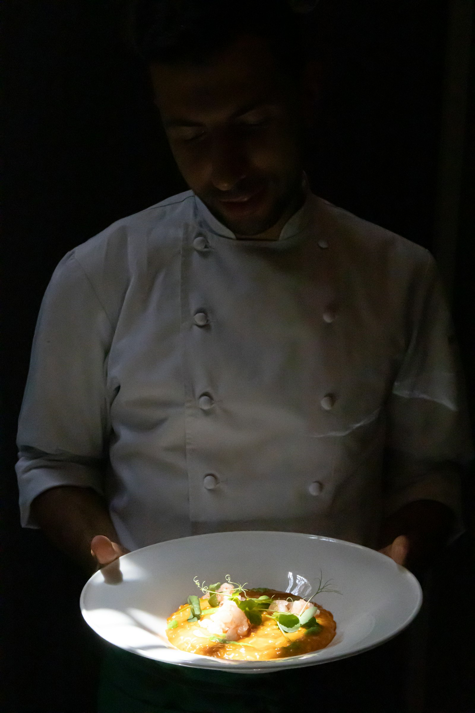 Shrimp risotto course, plated